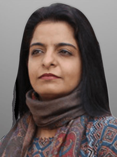 Advisory Panel & Team